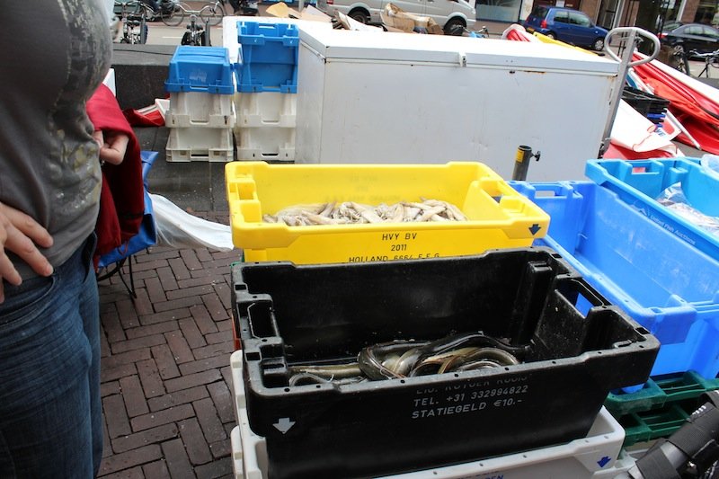 Image: Beleef de opwinding van Chicken Road: Het Populaire Gokspel ONLINE!